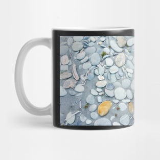 Stone in variety and colour on beach Mug